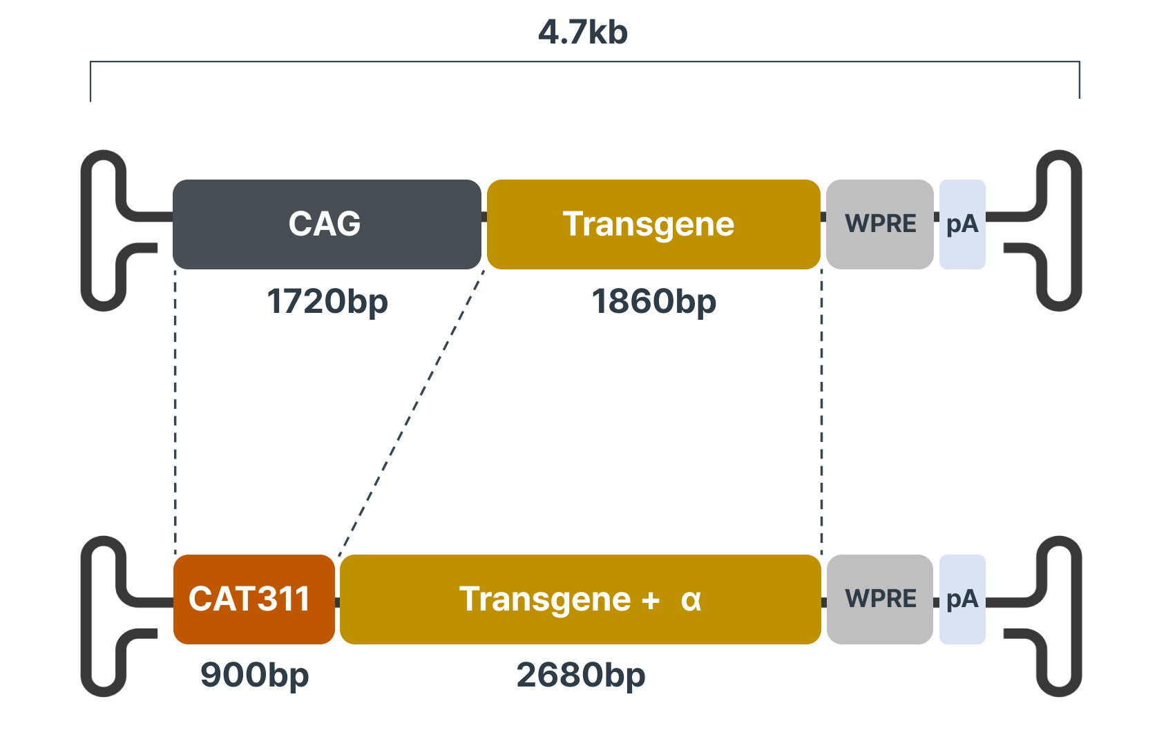 Platform technology illustration placeholder