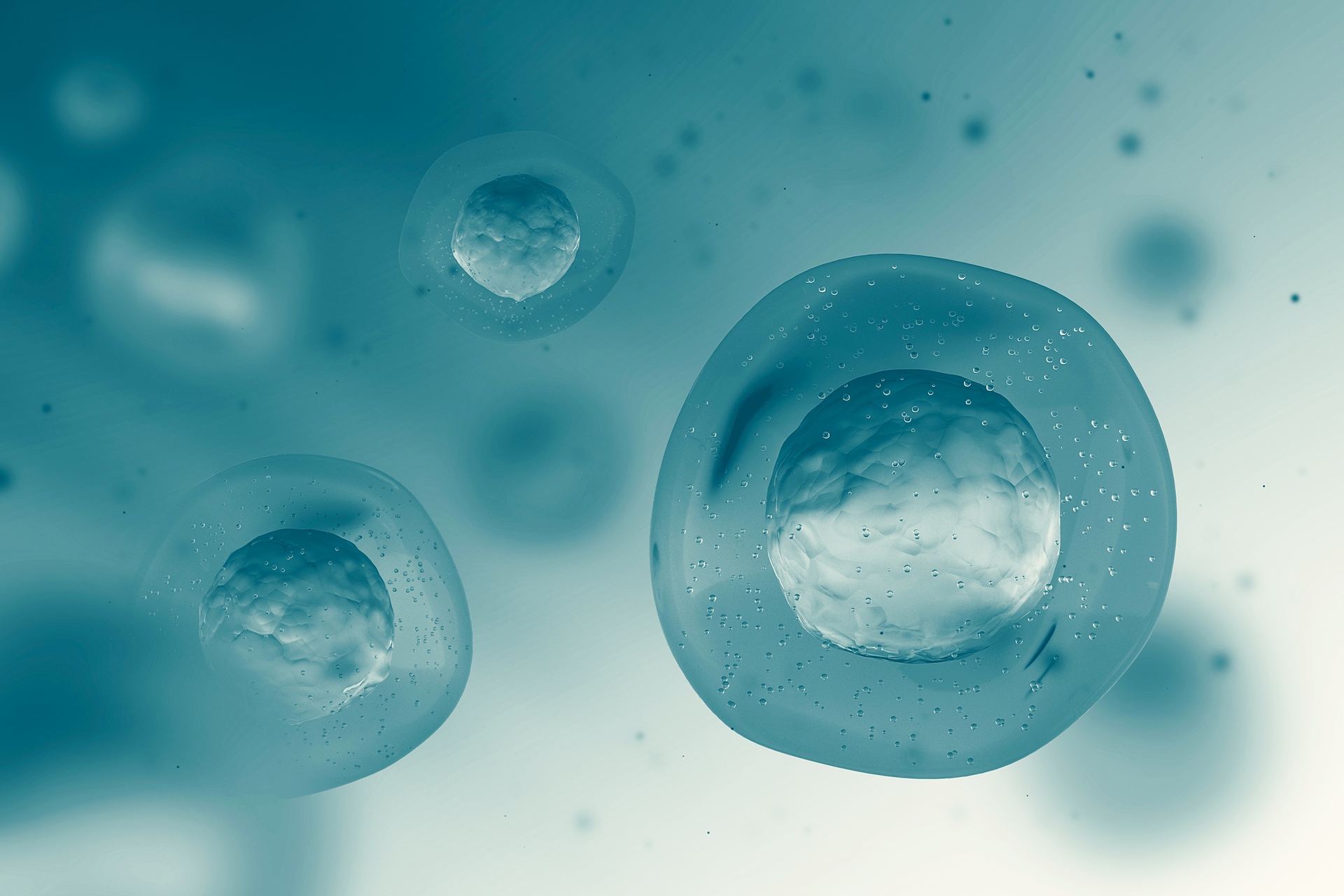 Gene therapy delivery vector