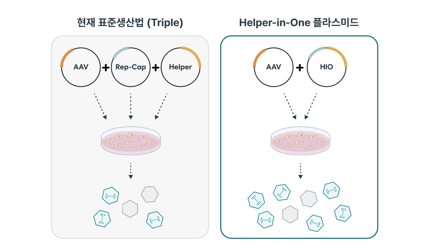 플랫폼 기술 도해 자리