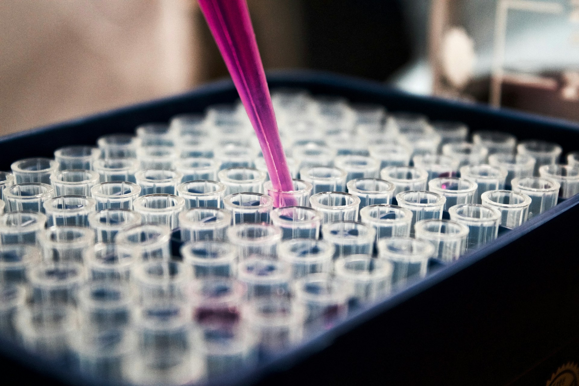 Preclinical evaluation of NG101, a potential AAV gene therapy for wet age-related macular degeneration